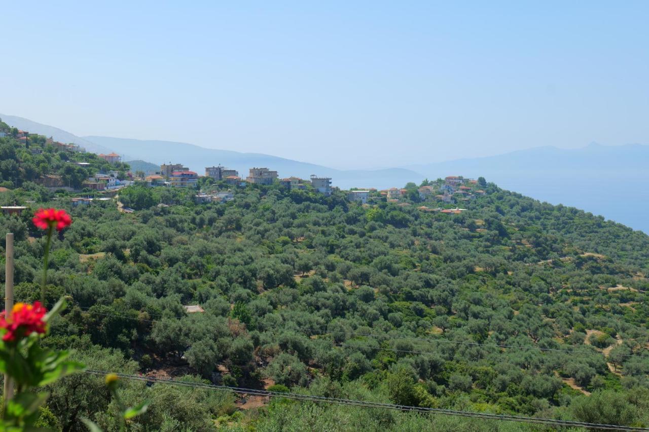 Vila Panorama Piqeras Bed & Breakfast Exterior photo