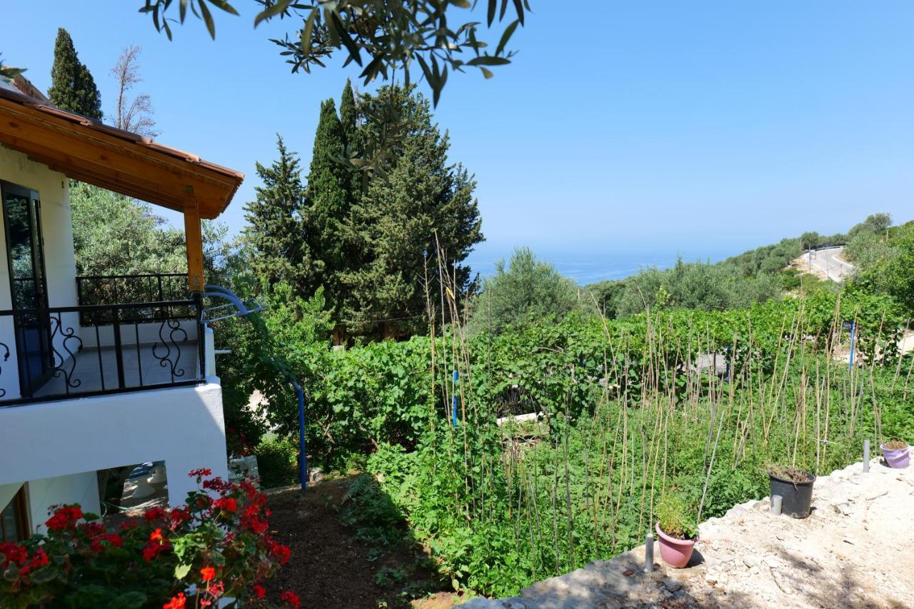 Vila Panorama Piqeras Bed & Breakfast Exterior photo